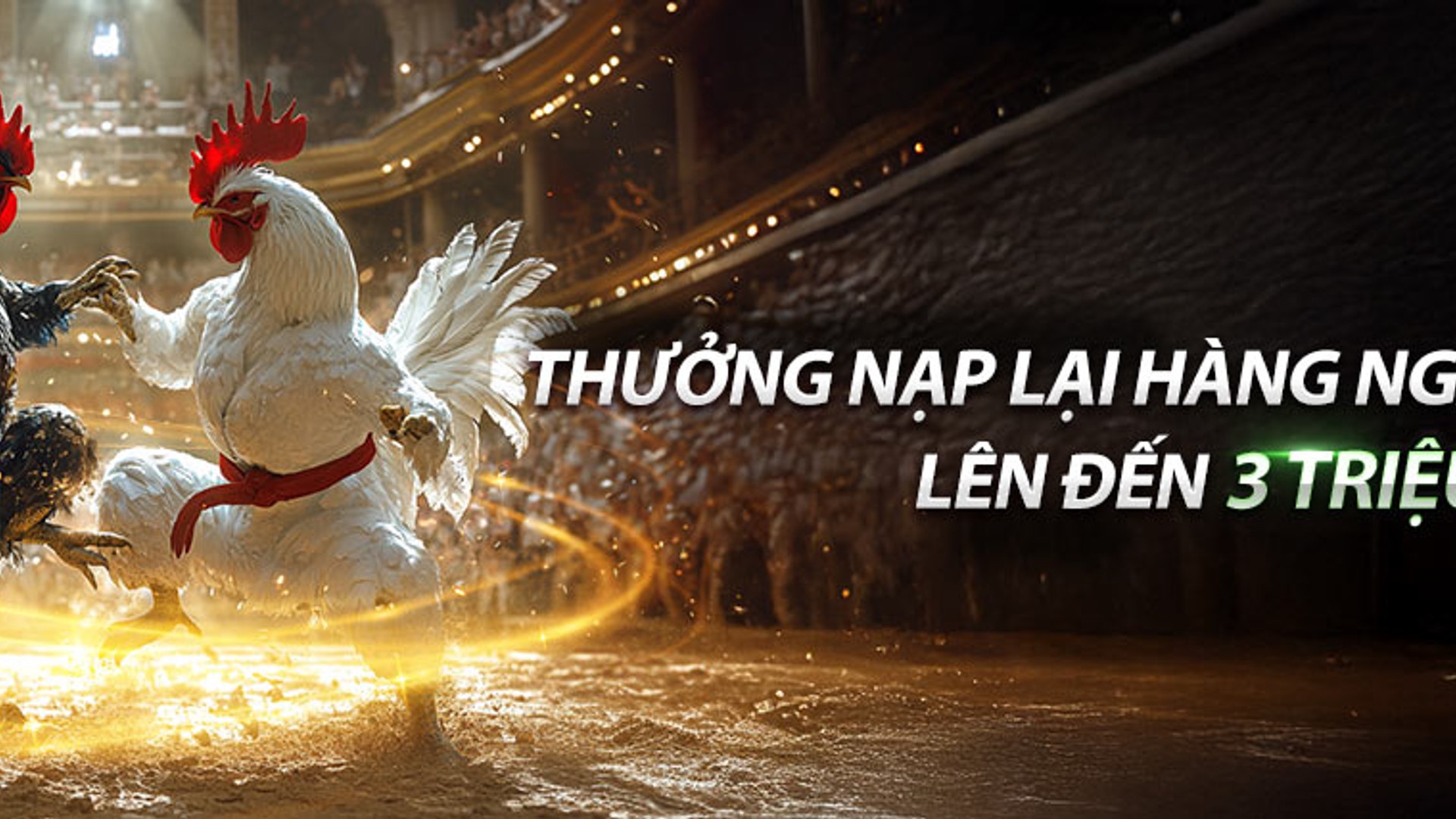 Hình ảnh tài nguyên 13winbet với các yếu tố cờ bạc trực tuyến và giải trí
