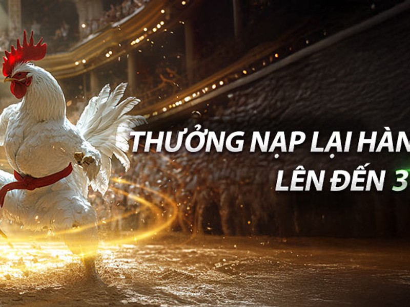 Thưởng nạp lại và hoàn trả