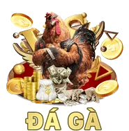 Ảnh đại diện người đánh giá
