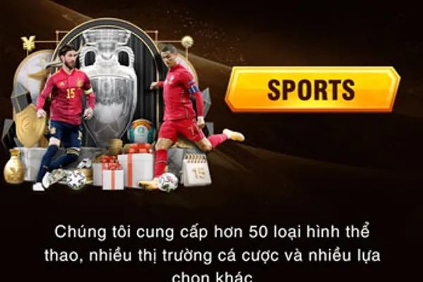 Phản hồi về cá cược thể thao 13win bet