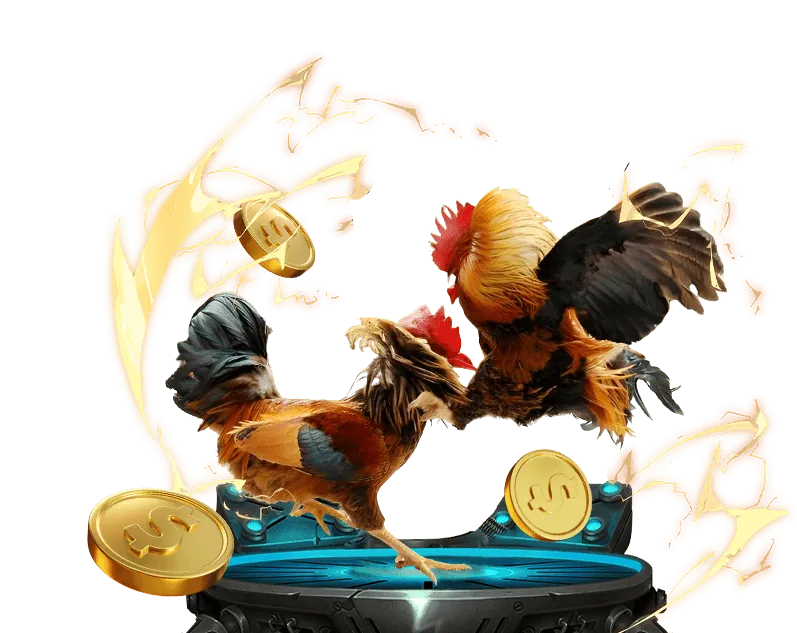 Tổng quan ưu đãi 13win bet
