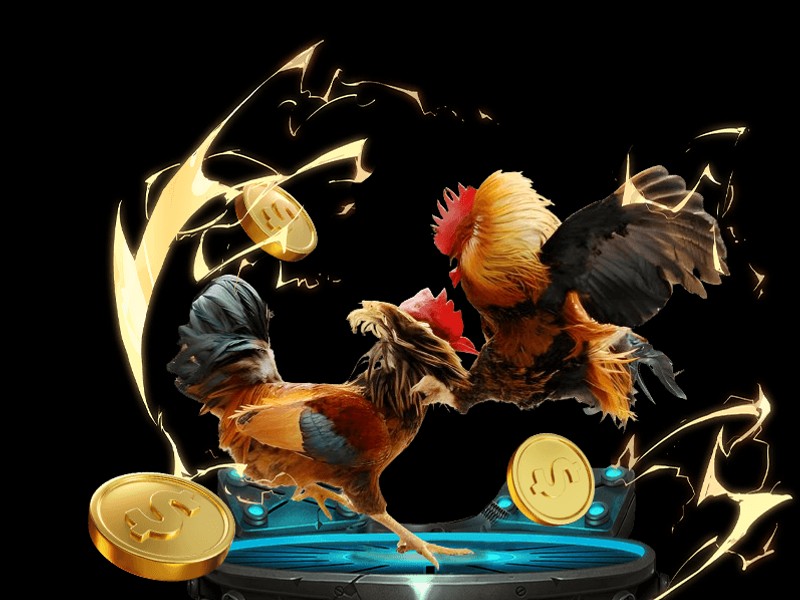Game Rồng Hổ tại 13winbet